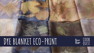 HOW TO ECOPRINT WITH A DYE BLANKET  ORGANIC COLOR  LEAVES TANNIN ALUM MORDANT  MADDER LOGWOOD [upl. by Ettevahs]