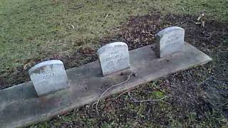 Defiance County Childrens Home Cemetery Defiance County Ohio [upl. by Neehsar]