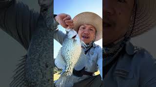 crappie fishing fishing [upl. by Zysk]