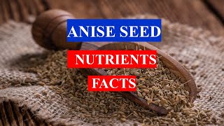 ANISE SEED  HEALTH BENEFITS  NUTRITION FACTS AND MEDICINAL USES [upl. by Adelbert126]