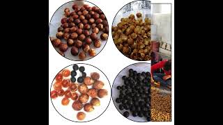 Benefits of RMY Soap Nuts Skin Hair Health [upl. by Bostow]