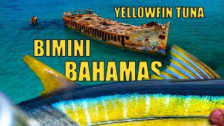 YELLOWFIN TUNA Fishing in Bimini the BAHAMAS  Into The Blue S8EP10 [upl. by Koball276]