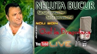 NELUTA BUCUR  Sac sac dusmanilor  Sarba instrumental live audio [upl. by Elexa]