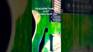 TELECASTER THINLINE in KIT Recensione e Sound Test faidate recensione telecaster diyguitar diy [upl. by Reichert]