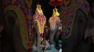 Today Hati Parikrama at Sridham Mayapur [upl. by Nysa]