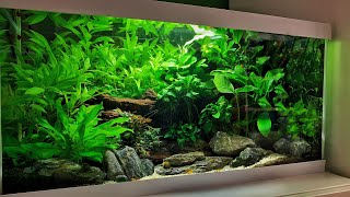 3 EPIC LOW TECH AQUASCAPES NON CO2 [upl. by Airdnaxela]