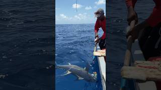 🎣 What an incredible day on the waters of Zanzibar We landed a massive tuna [upl. by Chasse]