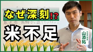 【米不足】なぜ深刻！？／2024年8月30日 [upl. by Nylesaj]