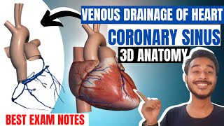 Venous drainage of heart anatomy  Coronary sinus anatomy  Coronary veins of heart anatomy [upl. by Eydnarb]