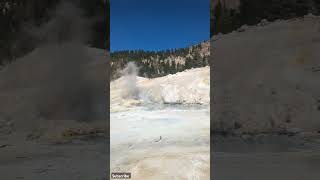 Its Easy trail to Bumpass Hell Hot at Lassen Volcanic National Parkshorts nationalparks [upl. by Oirogerg]