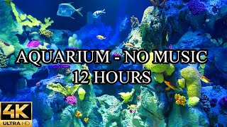 AQUARIUM 4K Coral Reef 4K Aquarium No Music No Ads  12 Hours  Meditation  Relaxation  Sleeping [upl. by Eiten]