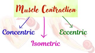 Isometric concentric eccentric contraction with example [upl. by Kore162]