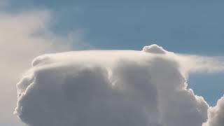 Pileus cloud over a growing cumulus cloud Irlam UK [upl. by Dnumsed]