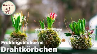 DIY  Drahtkörbe selber flechten – frühlingshafte Dekoideen mit Draht Moos und Zweigen [upl. by Aihsirt]