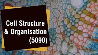 1 Cell Structure amp Organisation [upl. by Daron664]