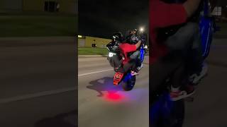 Tandem Wheelie a Honda CBR600  The Ultimate Challenge [upl. by Nellek692]