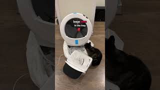 LITTERROBOT 4 HONEST REVIEW 🙀🙀🙀 [upl. by Onabru]