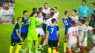 Tottenham and Sevilla Players fight  Erik Lamela Son and Richarlison [upl. by Pirnot585]