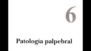 C6 PATOLOGIA PALPEBRAL Dr Argento [upl. by Nedah]