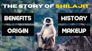 THE STORY OF SHILAJIT [upl. by Ssirk]