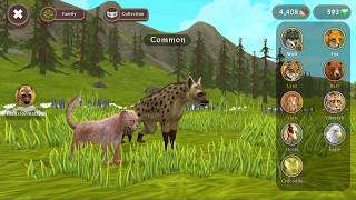 Wildcraft update Hyena  underwater den japanese forest [upl. by Asiuqram]