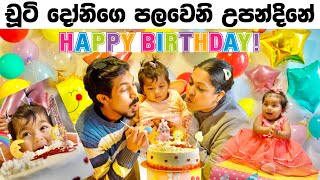 චූටි දෝනිගෙ පලවෙනි උපන්දිනේ 🎂🎉  Baby Elba’s 1st Birthday  Binario 12 [upl. by Lemmor]