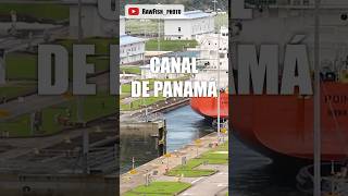 Las esclusas del Canal de Panama 🇵🇦 panama canaldepanama esclusas mulas pty [upl. by Annayat]