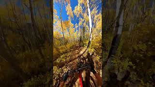 Autumn MTB Masterpiece 🎬 Jack Loosmann Shorts MTB [upl. by Miarhpe]