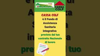 Cassa Colf richieste on line [upl. by Anigroeg670]