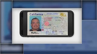 How mobile drivers license tech could be used by Bay Area businesses [upl. by Idmann]