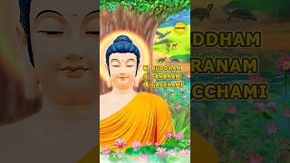 BUDDHAM SARANAM GACCHAMI  皈依佛  BUDDHIST MUSIC VIDEO [upl. by Lladnar]