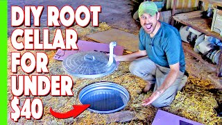 Our Simple Inexpensive Root Cellar Build [upl. by Hadihahs942]