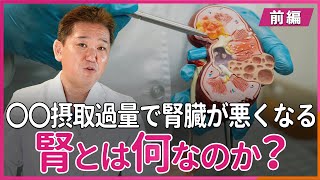 腎とは何なのか？〇〇摂取過量で腎臓が悪くなる〜前編〜 [upl. by Yragerg]