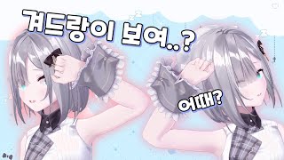 귀한 거 보여주는 버튜버 [upl. by Evie]