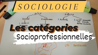 SOCIOLOGIE  LES CATÉGORIES SOCIOPROFESSIONNELLES [upl. by Berkman]