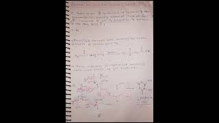 Biosynthesis of Flavonoids Acetate and Shikimic Acid Pathway for Biosynthesis of Flavonoidsshorts [upl. by Demy176]