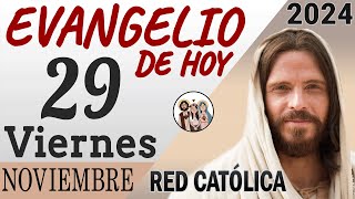 Evangelio de Hoy Viernes 29 de Noviembre de 2024  REFLEXIÓN  Red Catolica [upl. by Nywroc844]