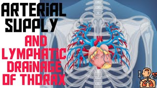 Arterial Supply And Lymphatic Drainage of Thorax By Dr Noman Rana [upl. by Asselim431]