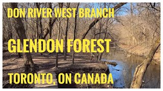 Trails in the Forest  Glendon Forest  Feat Serena Gundy Park amp Sunnybrook Park  Toronto ON 🇨🇦 [upl. by Aneel]