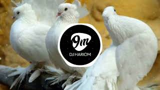 Kabutar Ja Ja Ja  Dhol Mix  Unreleased  Dj Abhijeet In The Mix  DJ HARIOM [upl. by Dymoke846]