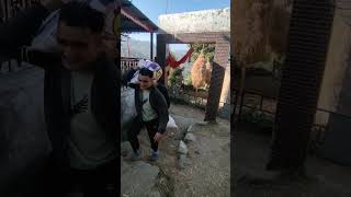 Best Old Garhwali Song By Narendra Singh Negi Jinarendrasinghnegisong​ Nsnegioldsong singga [upl. by Hofmann]