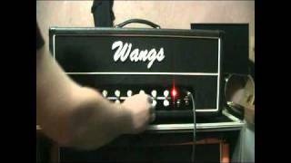 WANGS ALL TUBE AMP VT 50H [upl. by Deana]