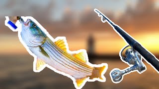 Catching Striped Bass Stripers in 50 feet of water  Fish Everywhere [upl. by Llenyr]