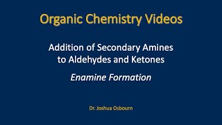 Addition of Secondary Amines – Enamine Formation [upl. by Ariaec]