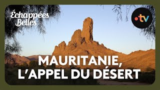 Mauritanie lappel du désert  Échappées belles [upl. by Schonthal]