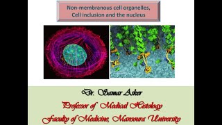 Non membranous cell organelles [upl. by Ihc]