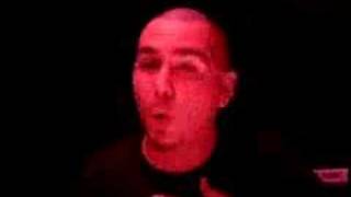 Pitbull  Dammit Man ft Piccalo Official Video [upl. by Nylsirk687]