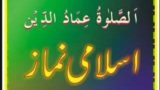 Shia Namaz ka tarika  شیعہ نماز کا طریقہ [upl. by Anirbak]