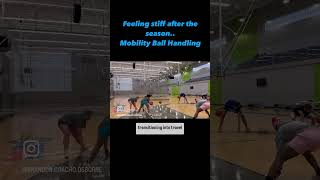 Basketball Mobility and Flexibility Workout basketball basketballtrainer youthbasketball [upl. by Selohcin404]