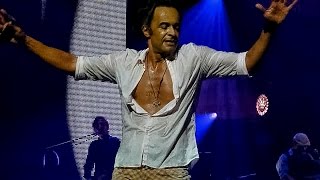 Yannick Noah  Destination Ailleurs Live  Palais des Sports Paris 2014 [upl. by Eiryt]